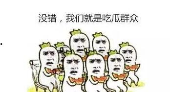 aaaa吃瓜群众,揭秘吃瓜群众的热情与智慧