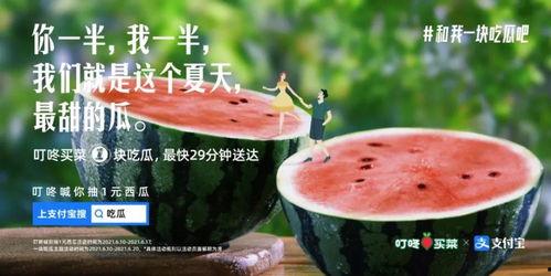 表演吃瓜文案,一场别开生面的吃瓜表演盛宴