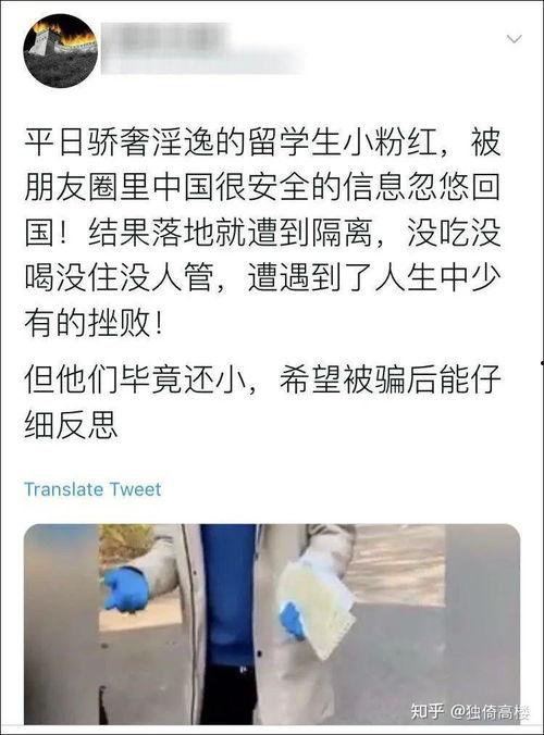 湖北黄冈吃瓜事件始末,一场网络热议的真相追踪