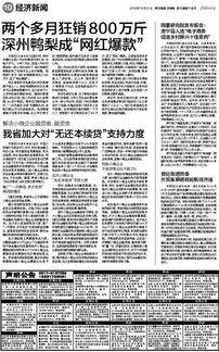 深州网红公司有哪些,崛起的互联网新势力集结地