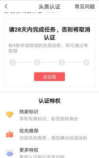 国外视频可以发头条吗,国外视频内容如何巧妙转化为热门头条
