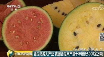 吃瓜网全球最快,揭秘全球最快科技动态，畅享前沿资讯盛宴
