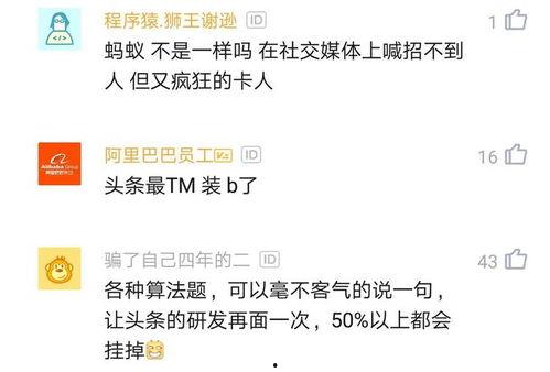 头条程序员算法题目答案,深度解析解题思路与技巧