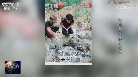 快手农村网红打王者视频,田间地头展现电竞风采