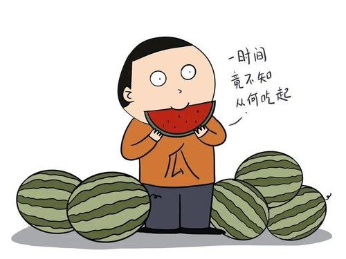 吃瓜吃的撑,揭秘“吃瓜吃的撑”背后的趣味与反思