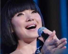 在东北的明星,璀璨星河中的东北之光