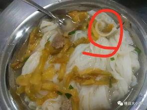 学生爆料食堂饭菜视频,学生爆料饭菜实况，引发网友热议