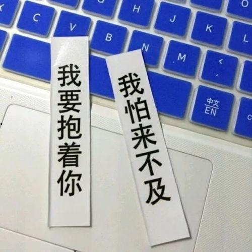 网红图片壁纸文字,潮流视觉盛宴，一图读懂时尚潮流