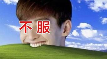 张姓明星撞名,张姓明星撞名引发娱乐圈热议