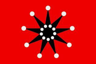 黑色旗帜明星名字,揭秘明星们的传奇人生