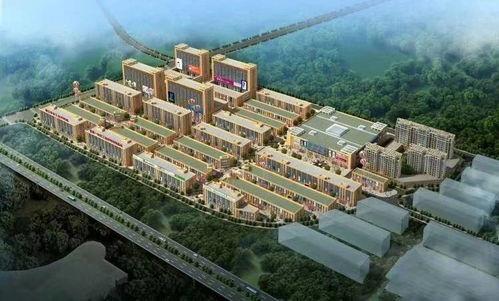 武义网红公司在哪里呀,揭秘热门聚集地