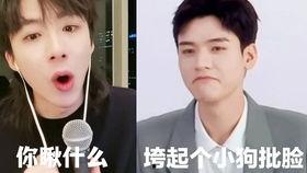 外卖苏苏吃瓜视频大全免费观看,免费观看，尽享美食与娱乐盛宴