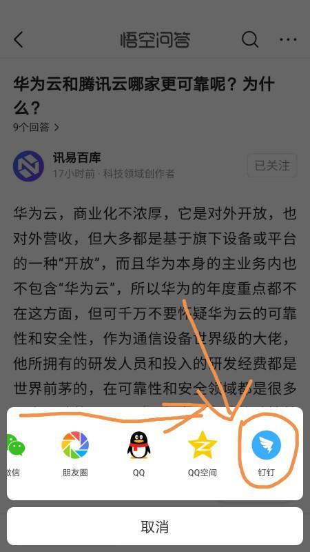 钉钉直播今日头条,揭秘职场直播新趋势