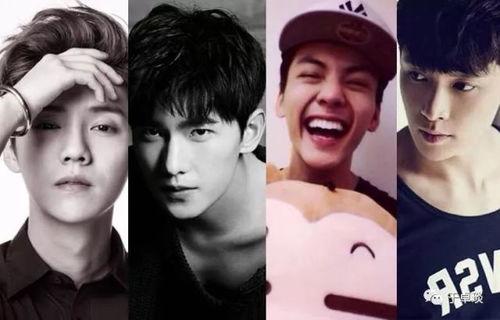 明星人头图片,人头图片中的璀璨星光