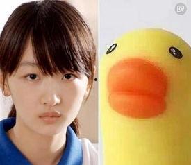 小黄鸭 哪个明星,揭秘明星与粉丝的奇妙缘分